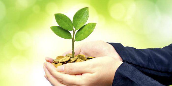 economic social responsibility of business