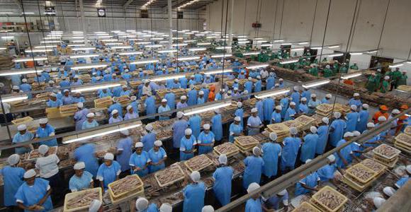 importer manufacturer