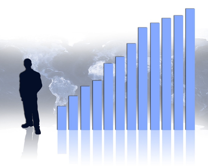 job responsibilities of an economist in a healthcare facility