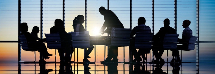 official duties of an economist of a public institution