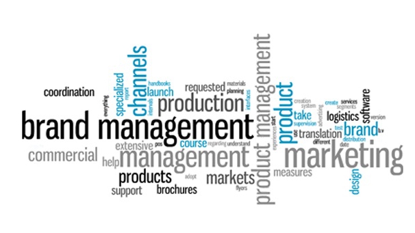 functional responsibilities of brand manager