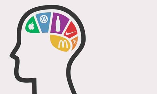 job description brand manager