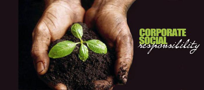 corporate social responsibility development