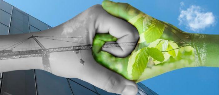 corporate social responsibility of the company