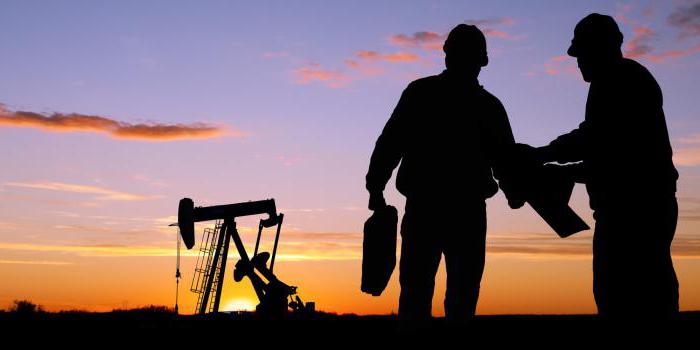 information on the average number of employees