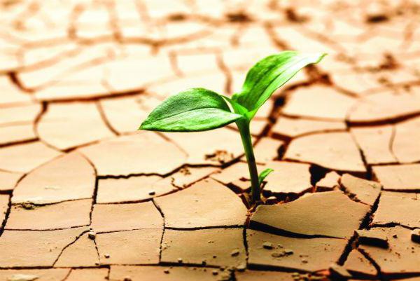 general liquidity indicator shows