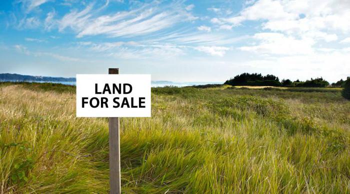 land market land price