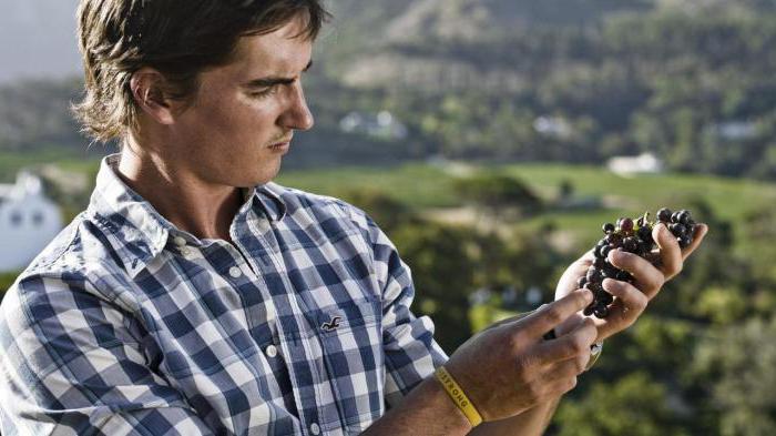 organoleptic method of determination