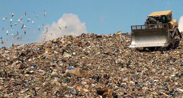 calculation of production waste standards