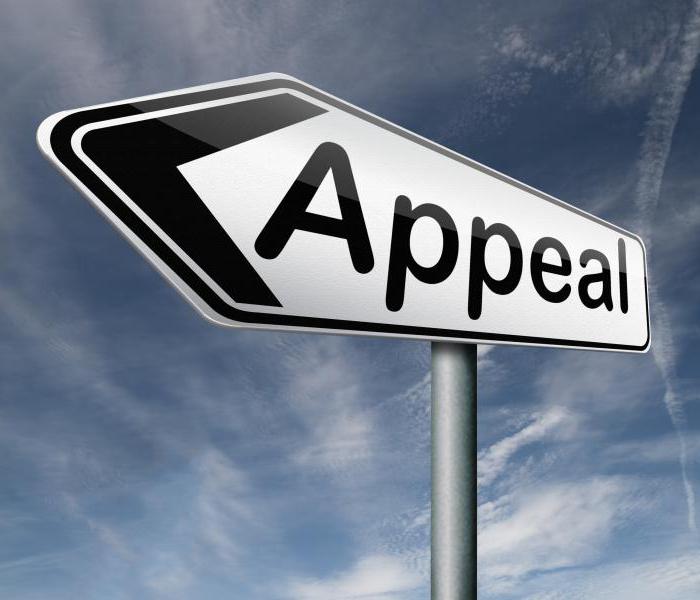 criminal appeal