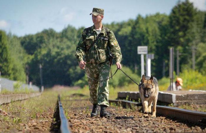 duty of a sentry at the post