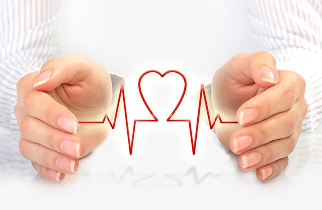 voluntary health insurance cost