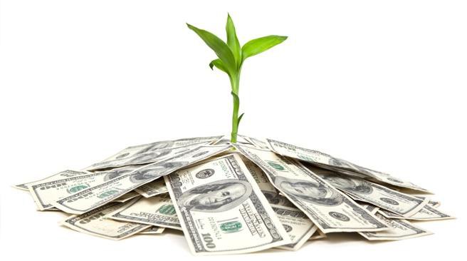 indicators of financial stability ratios