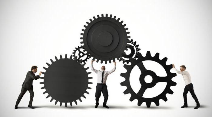 progress report for the year