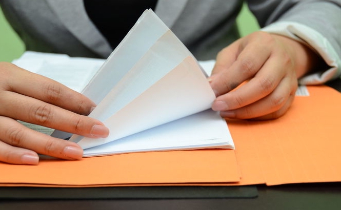 Profits and Losses Report