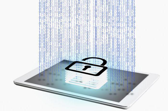 definition of the essence of the information system