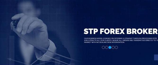 finals stp score and ecn score