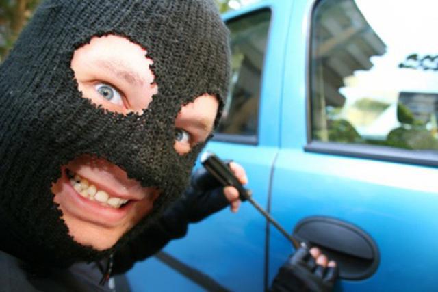 car theft insurance cost