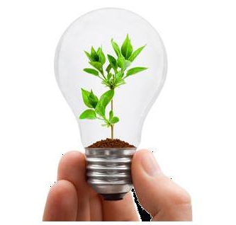 administrative liability for environmental offenses