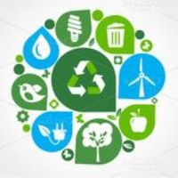 types of environmental disruption