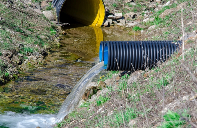 environmental offenses