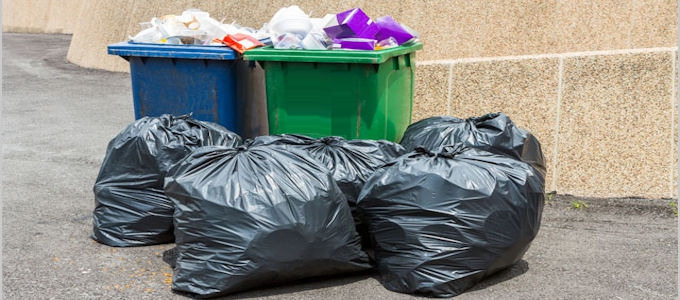 disciplinary liability for environmental offenses