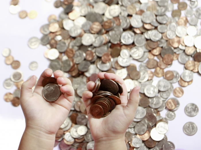 maternal capital if twins were born