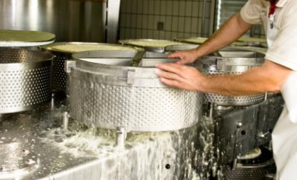 cottage cheese production line