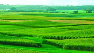 change the purpose of the plot