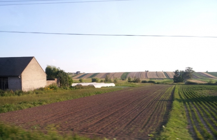 type of permitted use of the site