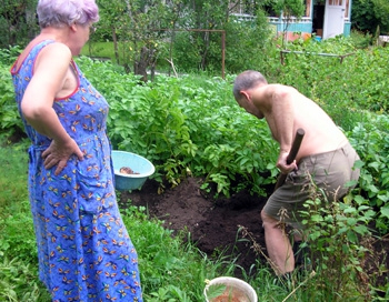 actual use of the land