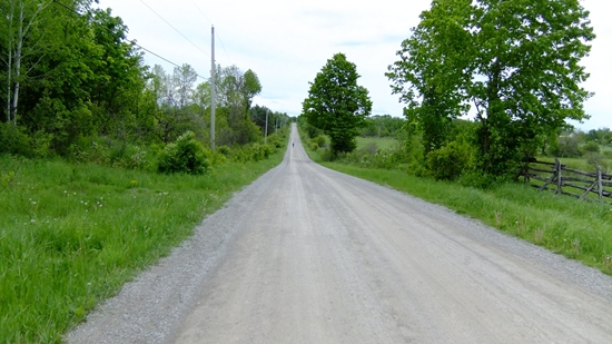 allowed maximum speed on the track