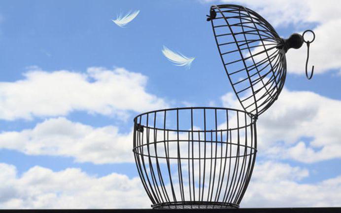 get out of your comfort zone change your life