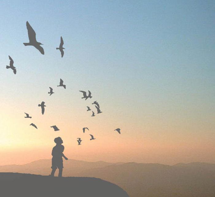 tracy get out of your comfort zone