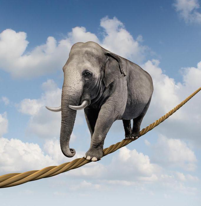 get out of your personal comfort zone