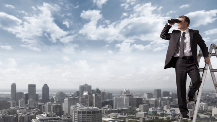 strategic enterprise management