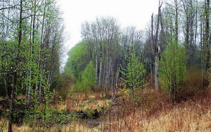 what types of land reclamation