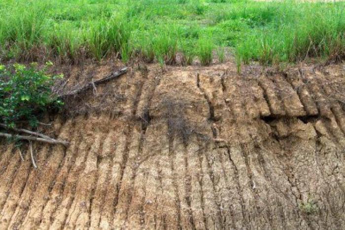 biological land reclamation