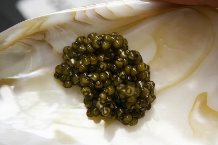 home sturgeon breeding technology