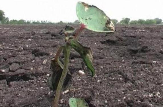 causes of soil pollution