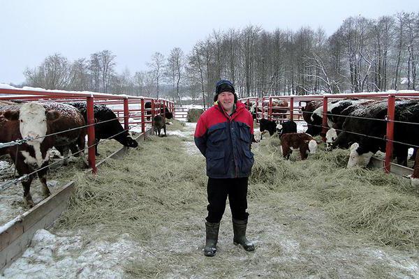 import substitution of the agricultural sector