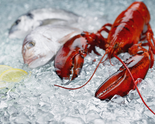 Rules for the transport of perishable goods