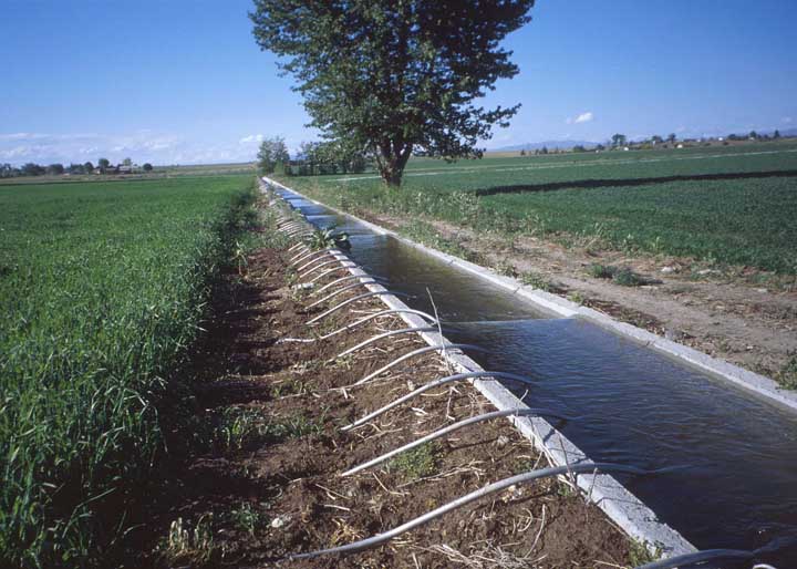 Irrigation system