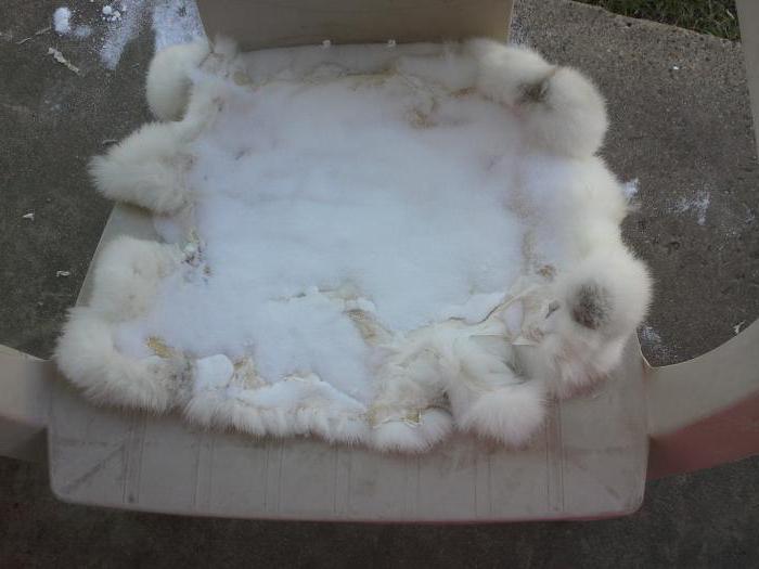 how to make skins of rabbits at home