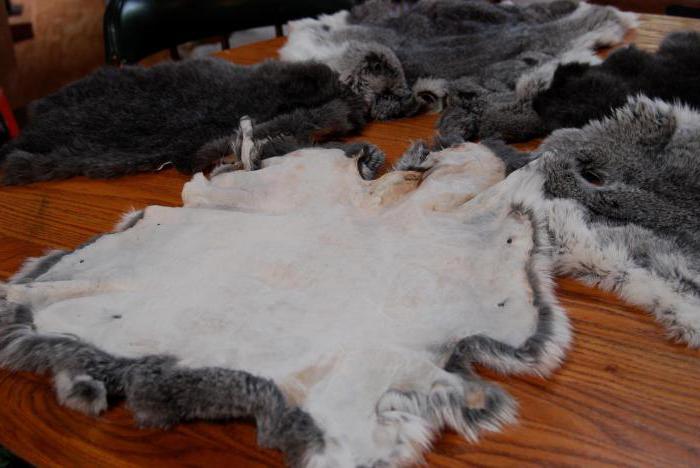 how to make rabbit skins at home stages