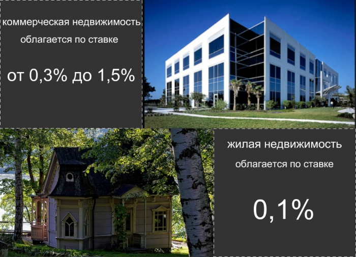 Physical Property Tax