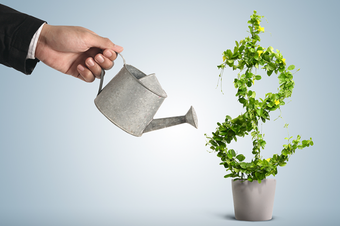 envd activities basic profitability