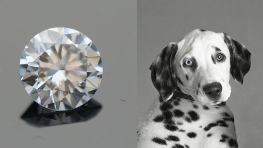 what you need to open a crematorium