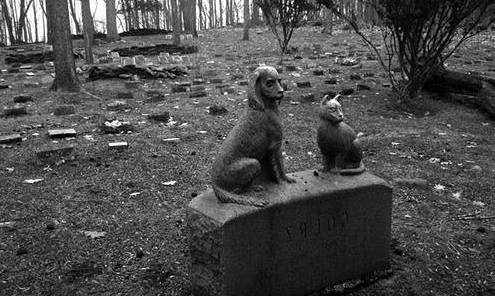 crematorium for animals business plan