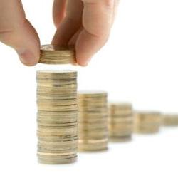 The authorized capital of an enterprise is